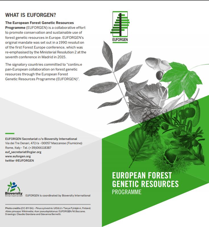 EUFORGEN leaflet: EUFORGEN - European forest genetic resources programme